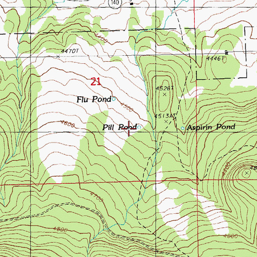 Topographic Map of Pill Pond, OR