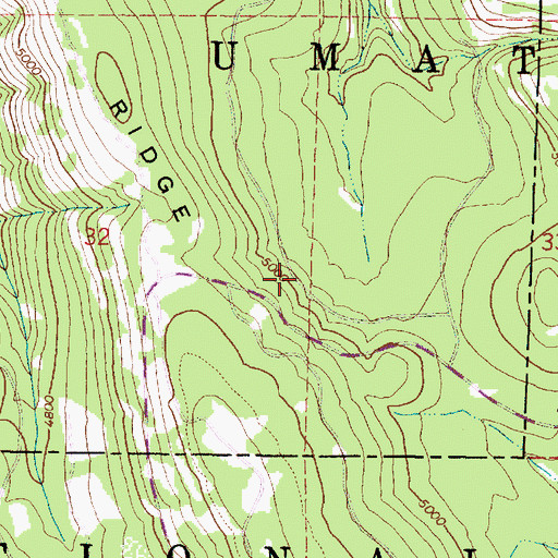 Topographic Map of Ford Spring, OR