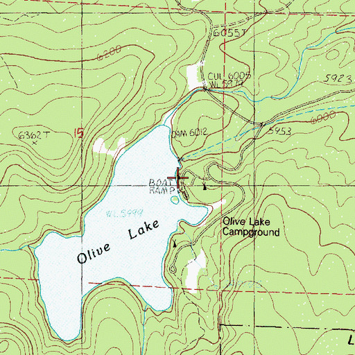 Topographic Map of Olive Lake Recreation Site, OR