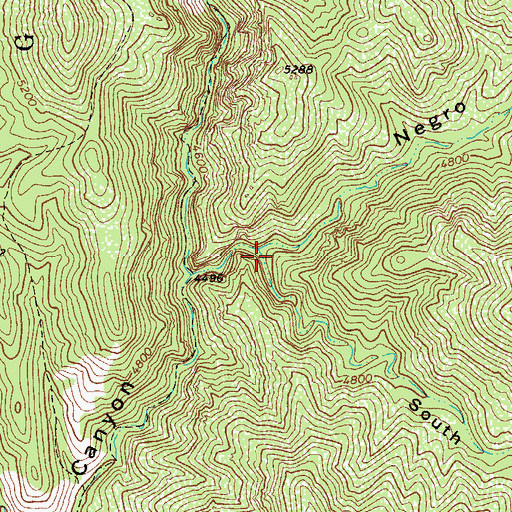 Topographic Map of South Negro Canyon, AZ