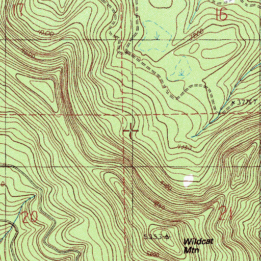 Topographic Map of Wildcat Mountain Research Area, OR