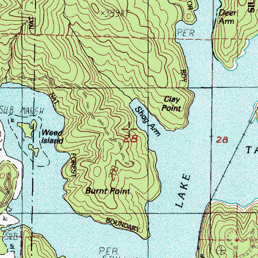 Topographic Map of Shag Arm, OR