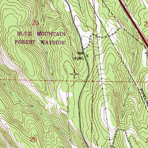 Topographic Map of Blue Mountain Forest State Scenic Corridor, OR
