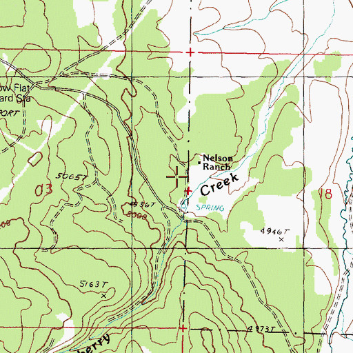 Topographic Map of Nelson Ranch, OR