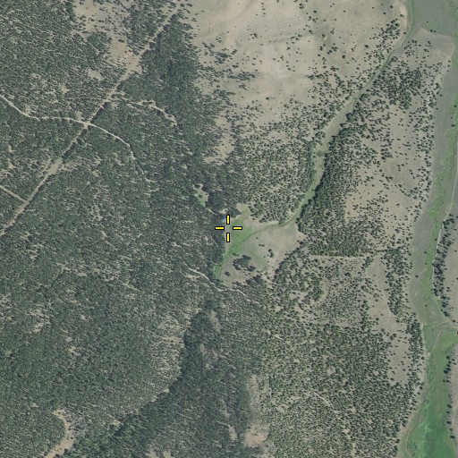 Aerial/Satellite Image of Nelson Ranch, OR