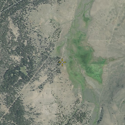 Aerial/Satellite Image of Hardesty Ranch, OR