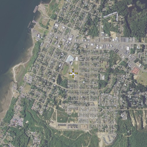 Aerial/Satellite Image of Madison Elementary School, OR