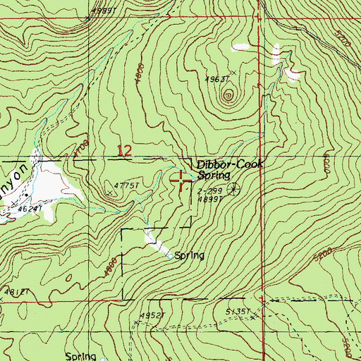 Topographic Map of Dibbon Cook Spring, OR