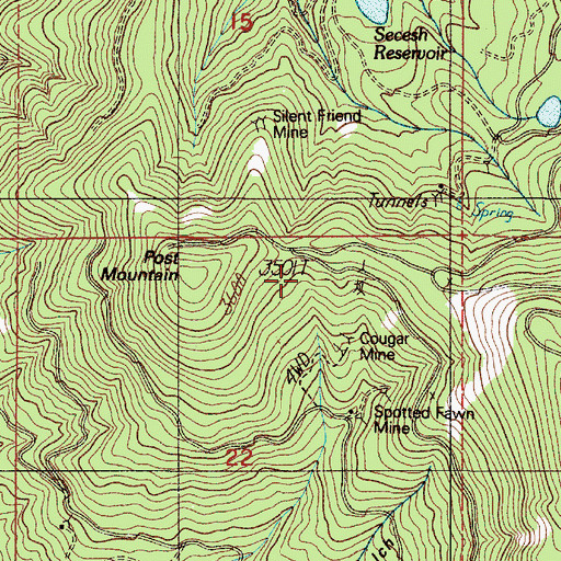 Topographic Map of Cougar Spring, OR