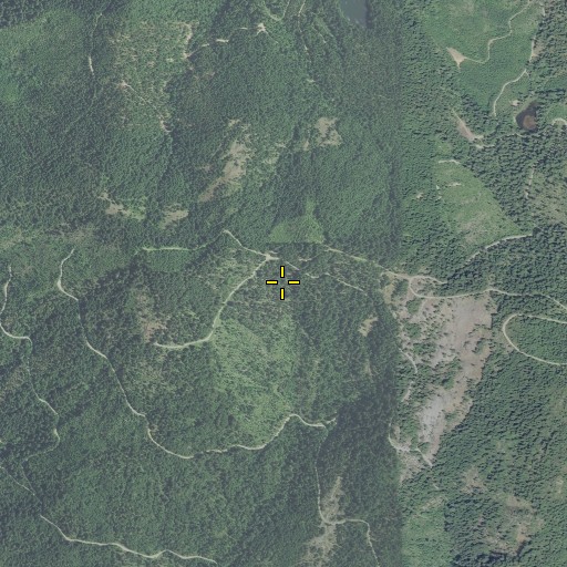 Aerial/Satellite Image of Cougar Spring, OR