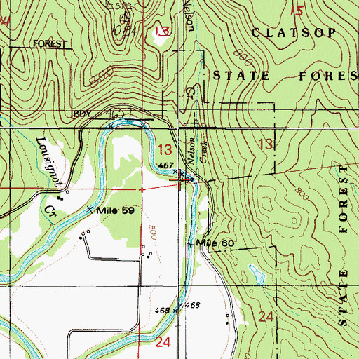 Topographic Map of Nelson Creek, OR