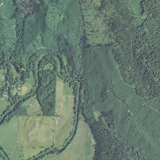 Aerial/Satellite Image of Nelson Creek, OR