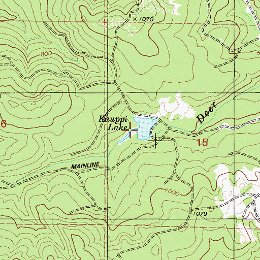 Topographic Map of Kauppi Lake, OR