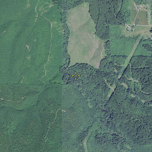 Aerial/Satellite Image of Buck Creek, OR