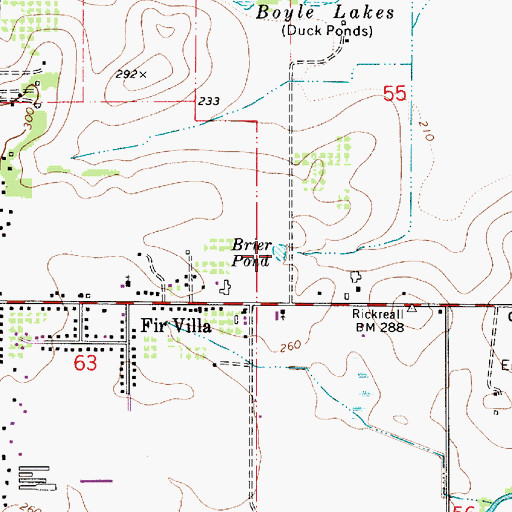 Topographic Map of Brier Pond, OR
