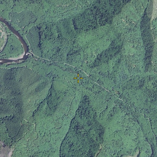 Aerial/Satellite Image of Dry Creek, OR