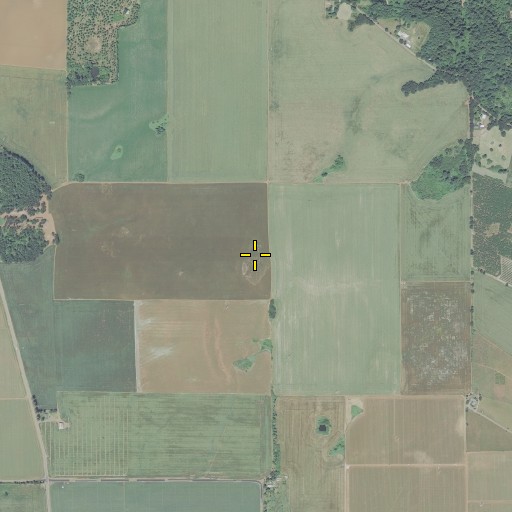 Aerial/Satellite Image of Waldo Hills, OR