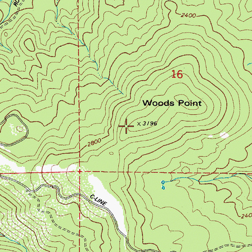 Topographic Map of Woods Point, OR