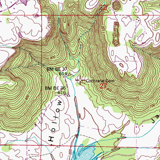 Topographic Map of Cochrane Cemetery, AL