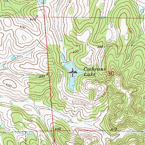 Topographic Map of Cochrans Lake, AL