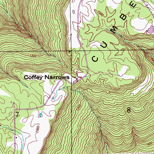 Topographic Map of Coffey Narrows, AL