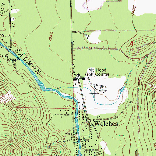 Topographic Map of The Courses, OR