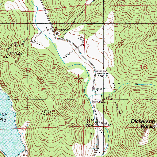 Topographic Map of Dickerson Canyon, OR