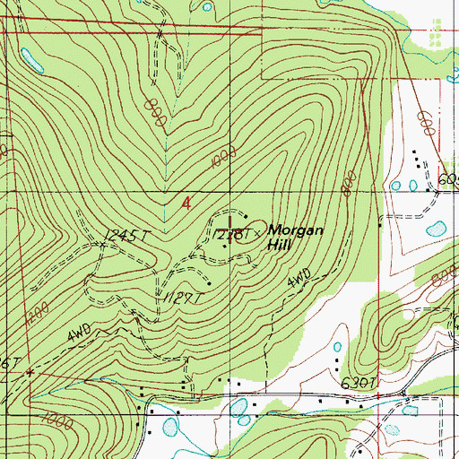 Topographic Map of Morgan Hill, OR