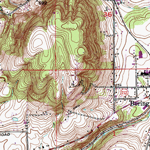 Topographic Map of Rays Spring, OR