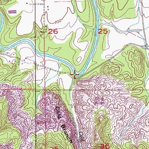 Topographic Map of Cold Branch, AL