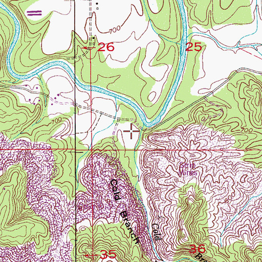 Topographic Map of Cold Branch Hollow, AL