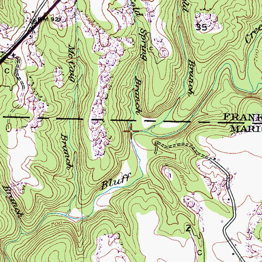 Topographic Map of Cold Spring Branch, AL