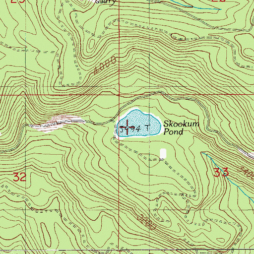 Topographic Map of Skookum Pond, OR