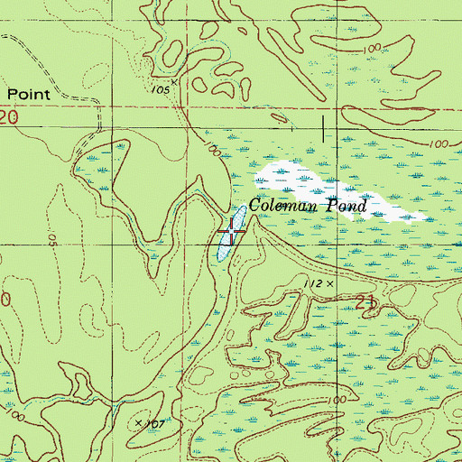 Topographic Map of Coleman Pond, AL