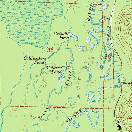 Topographic Map of Collard Pond, AL