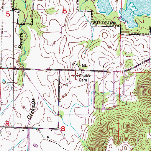 Topographic Map of Collier Cemetery, AL