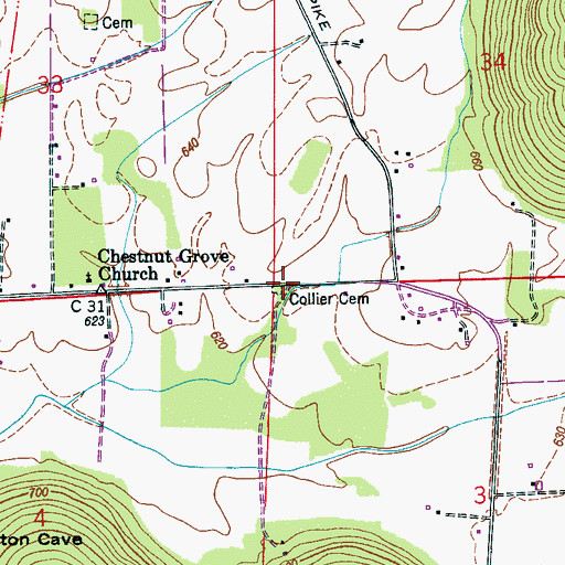 Topographic Map of Collier Cemetery, AL
