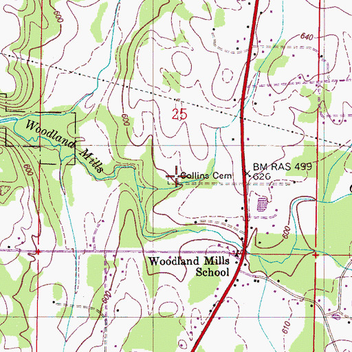 Topographic Map of Collins Cemetery, AL