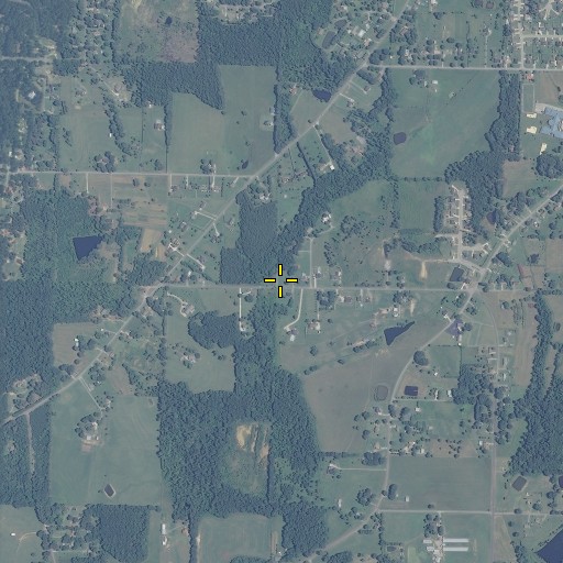 Aerial/Satellite Image of Collins School, AL