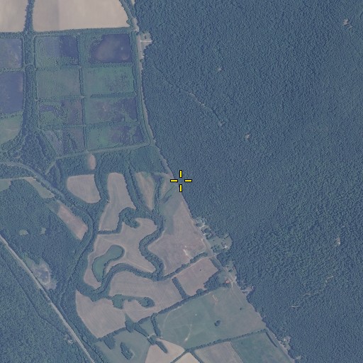 Aerial/Satellite Image of Collins Spring, AL