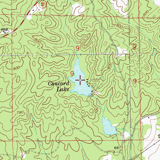 Topographic Map of Concord Lake, AL