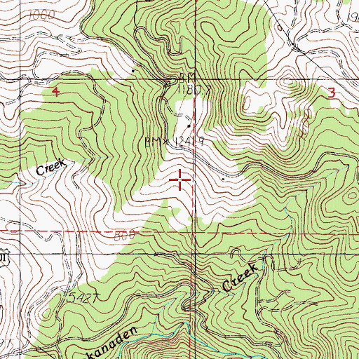 Topographic Map of Irma Post Office (historical), OR