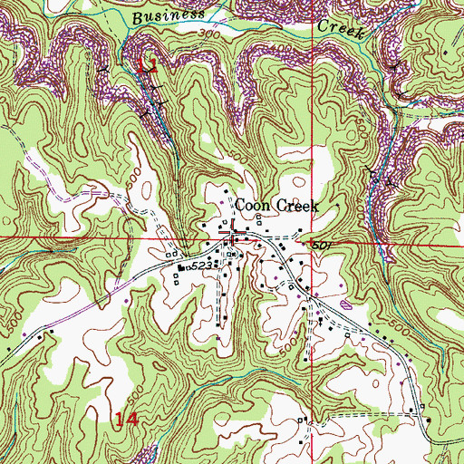 Topographic Map of Coon Creek, AL