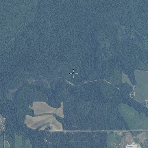 Aerial/Satellite Image of Coon Gap, AL