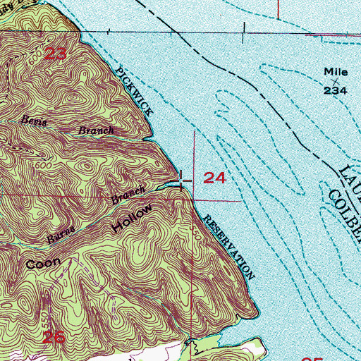 Topographic Map of Coon Hollow, AL