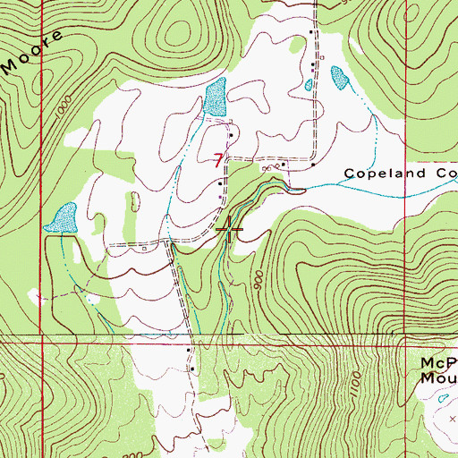 Topographic Map of Copeland Cove, AL
