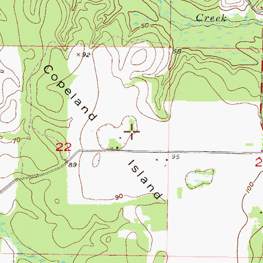 Topographic Map of Copeland Island, AL