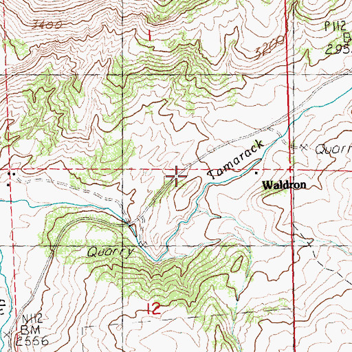 Topographic Map of Waldron Post Office (historical), OR