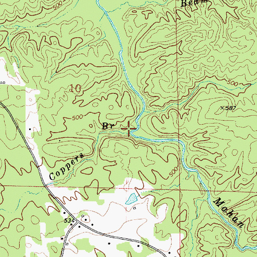 Topographic Map of Coppers Branch, AL