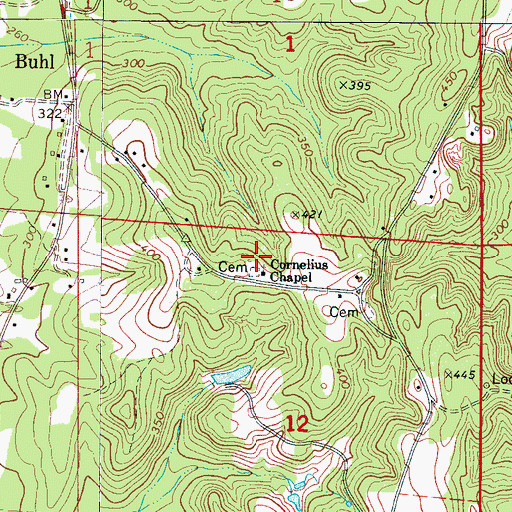 Topographic Map of Cornelius Chapel, AL